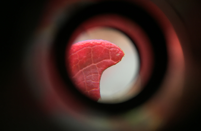 Investigating Matter - 6 - Stefano Russo