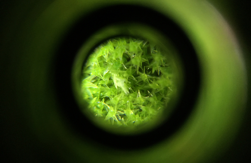 Investigating Matter - 7 - Stefano Russo