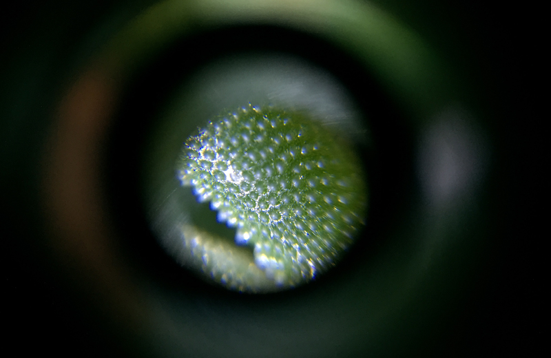 Investigating Matter - 9 - Stefano Russo