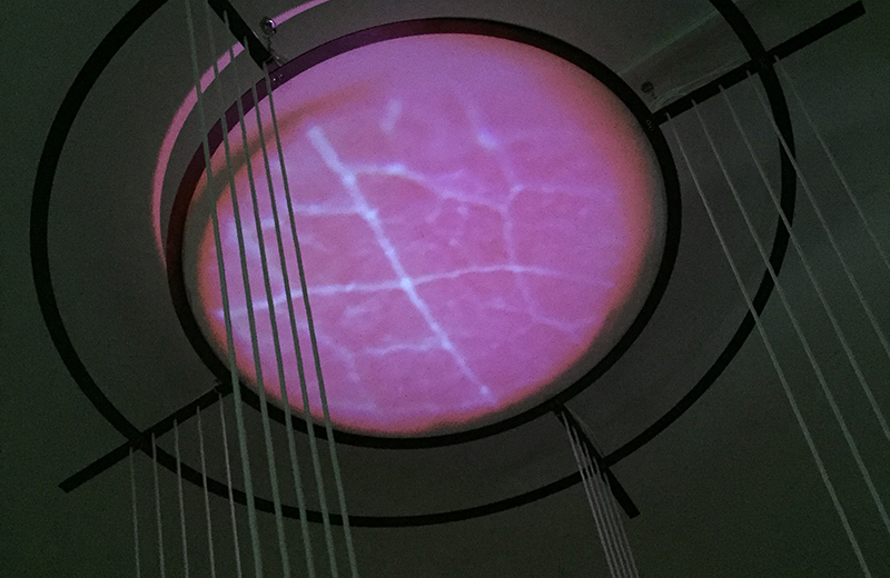 Vib Eye - 3 - Stefano Russo